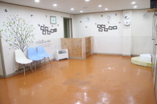하우매니퍼피 애견유치원