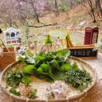 꽃뫼농장