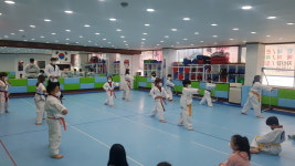 TEAM JTA 지구태권도