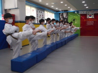 용인대박사태권도