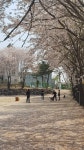 드린겐애견테마파크