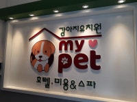 마이펫강아지애견유치원호텔미용