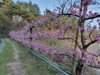 벽계 한우산 민박