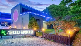 남이섬 설리조트