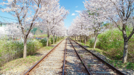 2020스파&풀빌라