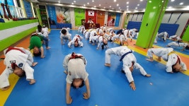 용인대백호태권도