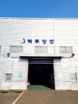 백두정공