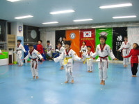 용인대한미태권도