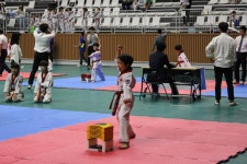 용인대백호태권도