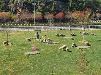 남해양떼목장 양마르뜨언덕