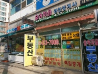 숲속마을공인중개사
