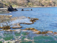 어촌일기독채펜션민박