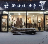 단하나의나무