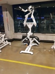 펄스짐