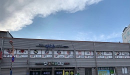 진안바른길태권도