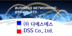 디에스에스