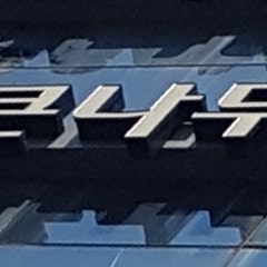 큰나무교회
