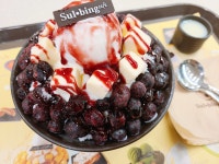 설빙 포천송우점