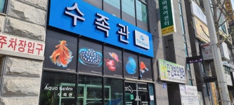 팀아쿠아 청주수족관
