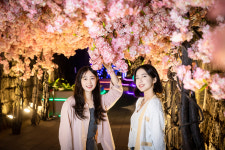 트윈터널