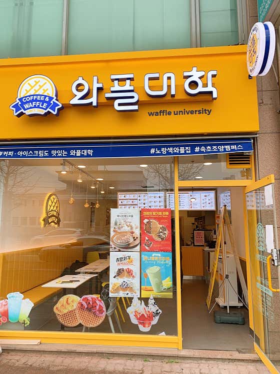 와플대학 속초조양캠퍼스 사진