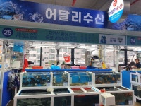 어달리수산 수암회수산시장