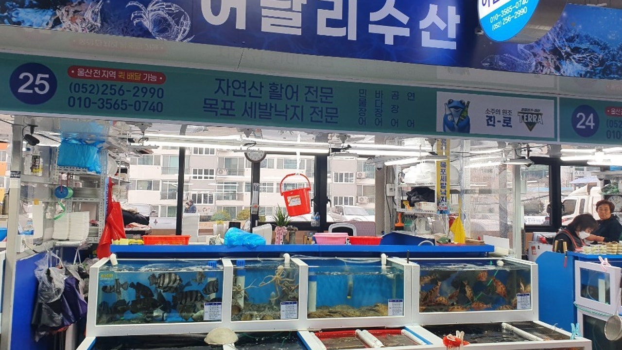 어달리수산 수암회수산시장
