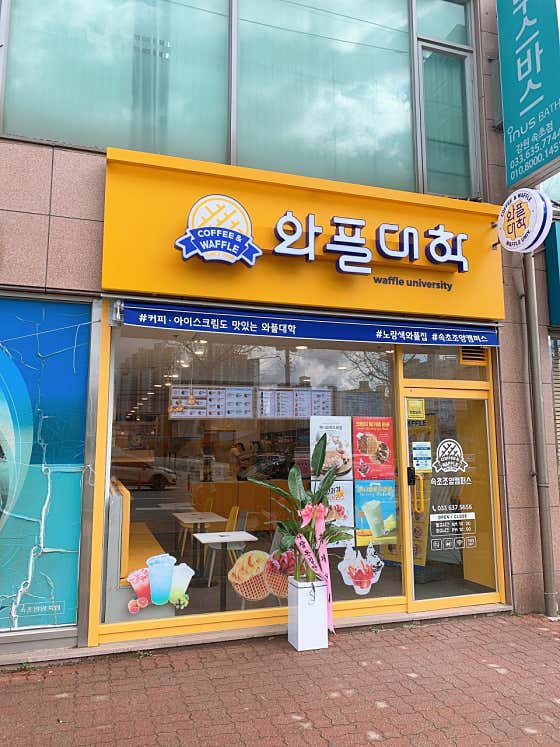 와플대학 속초조양캠퍼스 사진