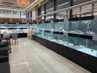 강아지분양 고양이분양 멍앤냥 수원점