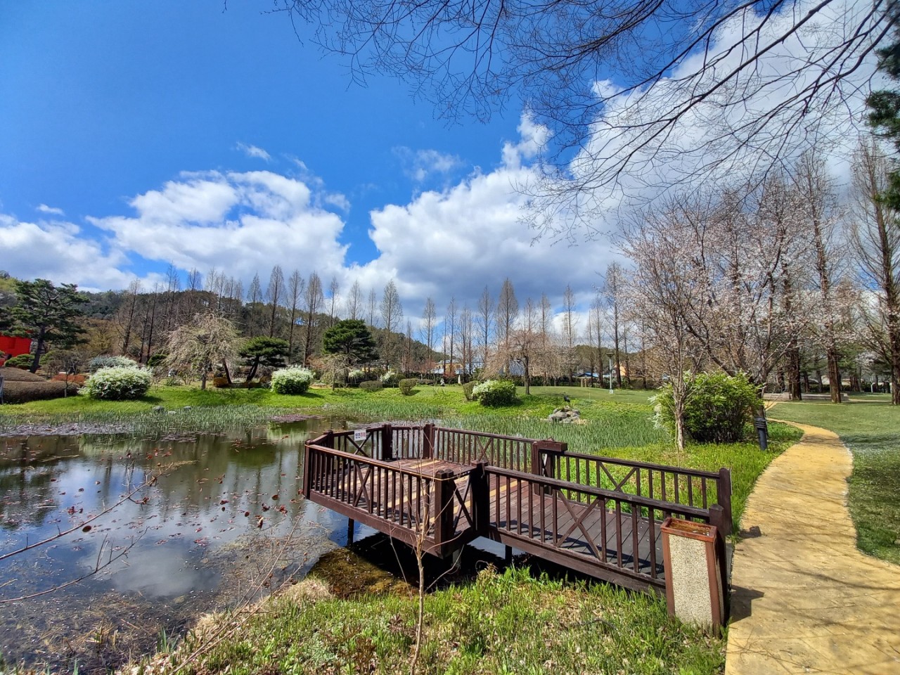 아도니스아트힐