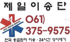 제일이송단