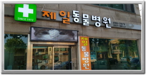 대전삼성전광판LED