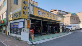 선수카정비