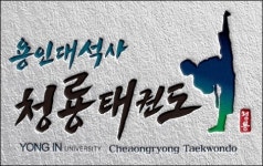용인대석사청룡태권도