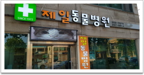 대전삼성전광판LED