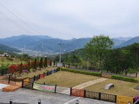 펫사랑모아