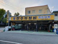 선수카정비