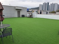 펫돌봄애견카페