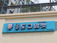 도그맘