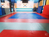한체대수진유도관