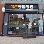 석촌동물병원