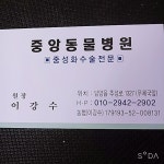 중앙동물병원