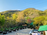 메아리산장