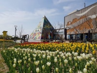 서산버드랜드