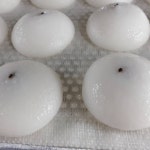 송화잔기지떡 제주아라점