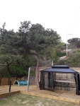 더 힐링카페