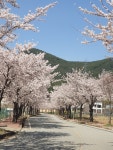 가산글램핑