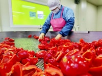 아름드리영농조합법인