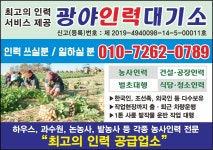 광야인력대기소