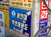 용인대백호태권도